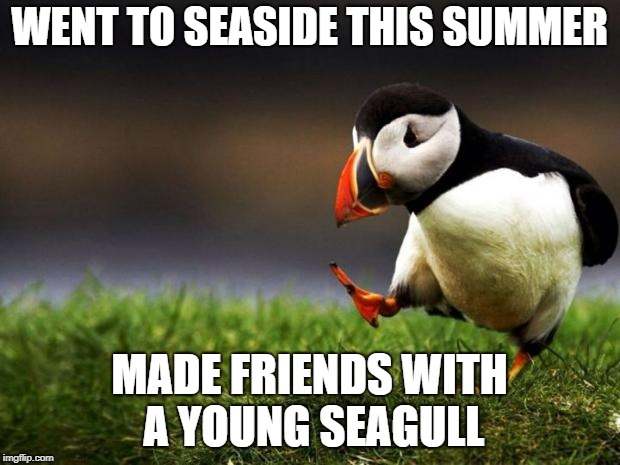 Just Shows How #ForeverAlone I Really Am. | WENT TO SEASIDE THIS SUMMER; MADE FRIENDS WITH A YOUNG SEAGULL | image tagged in memes,unpopular opinion puffin,summer,latest | made w/ Imgflip meme maker