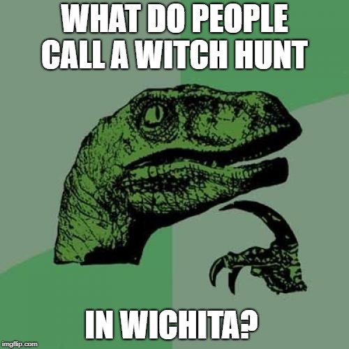 Philosoraptor | WHAT DO PEOPLE CALL A WITCH HUNT; IN WICHITA? | image tagged in memes,philosoraptor | made w/ Imgflip meme maker