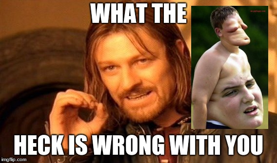 One Does Not Simply Meme | WHAT THE; HECK IS WRONG WITH YOU | image tagged in memes,one does not simply | made w/ Imgflip meme maker