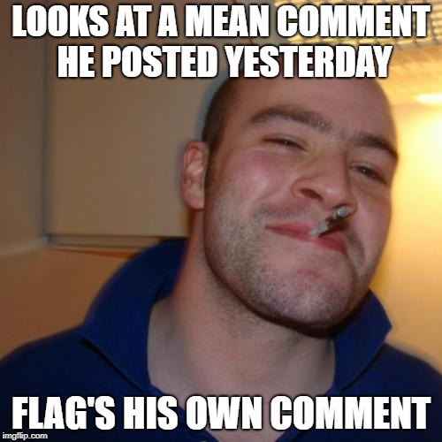 Good Guy Greg Meme | LOOKS AT A MEAN COMMENT HE POSTED YESTERDAY; FLAG'S HIS OWN COMMENT | image tagged in memes,good guy greg | made w/ Imgflip meme maker