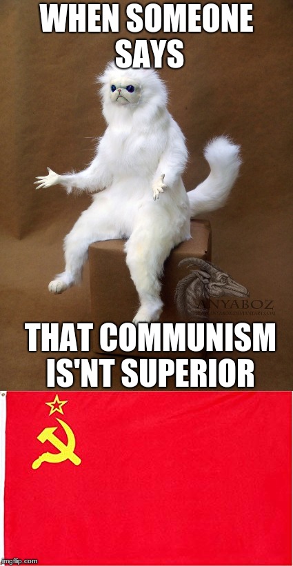 WHEN SOMEONE SAYS; THAT COMMUNISM IS'NT SUPERIOR | image tagged in persian cat room guardian single,communism,meme | made w/ Imgflip meme maker