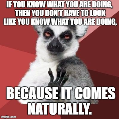 calm down | IF YOU KNOW WHAT YOU ARE DOING, THEN YOU DON'T HAVE TO LOOK LIKE YOU KNOW WHAT YOU ARE DOING, BECAUSE IT COMES NATURALLY. | image tagged in calm down | made w/ Imgflip meme maker