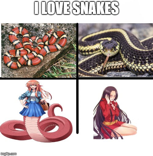 i love snakes | I LOVE SNAKES | image tagged in memes,blank starter pack | made w/ Imgflip meme maker