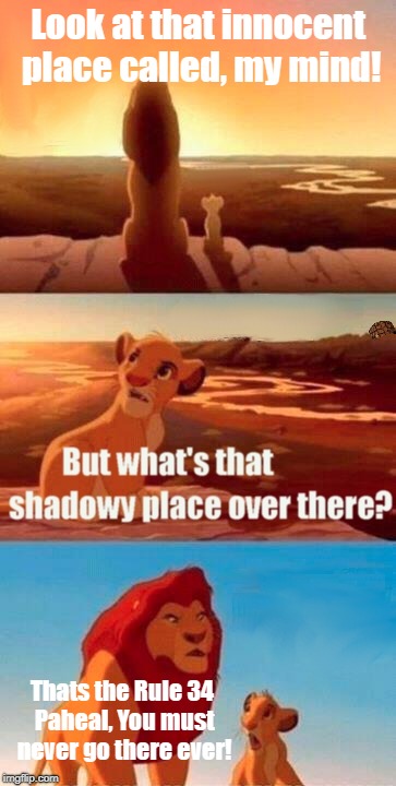 Simba Shadowy Place | Look at that innocent place called, my mind! Thats the Rule 34 Paheal, You must never go there ever! | image tagged in memes,simba shadowy place,scumbag | made w/ Imgflip meme maker
