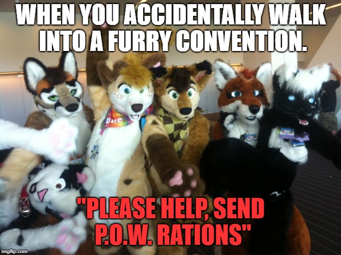Furries | WHEN YOU ACCIDENTALLY WALK INTO A FURRY CONVENTION. "PLEASE HELP, SEND P.O.W. RATIONS" | image tagged in furries | made w/ Imgflip meme maker
