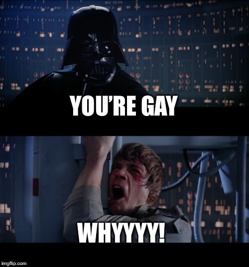 Star Wars No Meme | YOU’RE GAY; WHYYYY! | image tagged in memes,star wars no | made w/ Imgflip meme maker