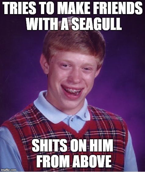 Bad Luck Brian Meme | TRIES TO MAKE FRIENDS WITH A SEAGULL SHITS ON HIM FROM ABOVE | image tagged in memes,bad luck brian | made w/ Imgflip meme maker