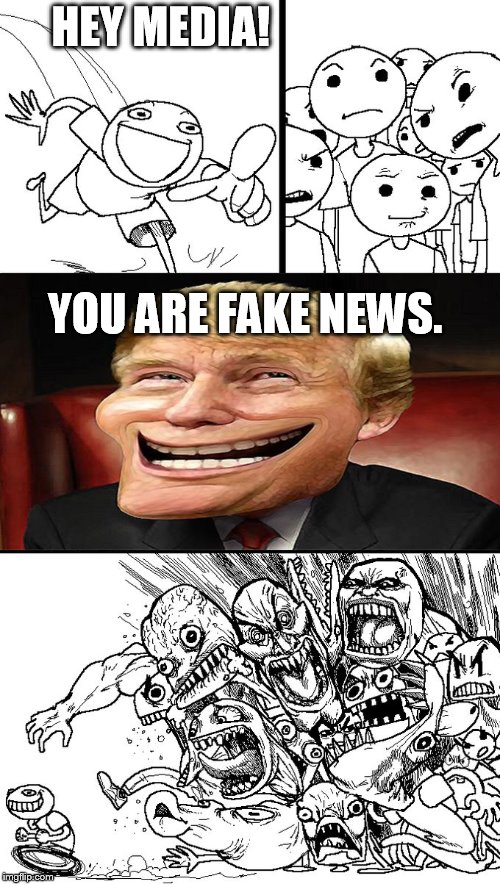 Hey guys! | HEY MEDIA! YOU ARE FAKE NEWS. | image tagged in hey guys | made w/ Imgflip meme maker