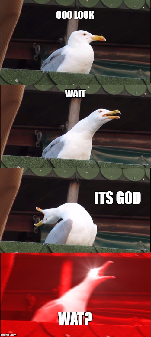 Inhaling Seagull Meme | OOO LOOK; WAIT; ITS GOD; WAT? | image tagged in memes,inhaling seagull | made w/ Imgflip meme maker