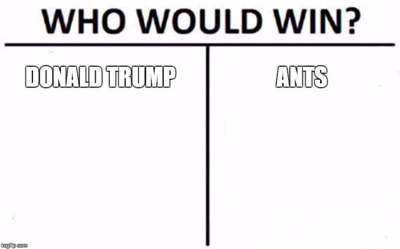 Who Would Win? | DONALD TRUMP; ANTS | image tagged in memes,who would win | made w/ Imgflip meme maker