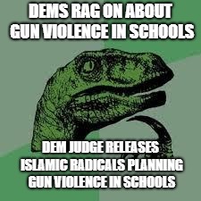 Dinosaur | DEMS RAG ON ABOUT GUN VIOLENCE IN SCHOOLS; DEM JUDGE RELEASES ISLAMIC RADICALS PLANNING GUN VIOLENCE IN SCHOOLS | image tagged in dinosaur | made w/ Imgflip meme maker