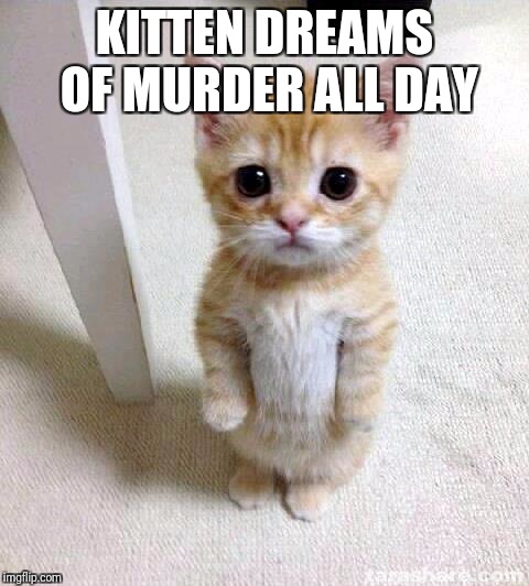 Cute Cat Meme | KITTEN DREAMS OF MURDER ALL DAY | image tagged in memes,cute cat | made w/ Imgflip meme maker
