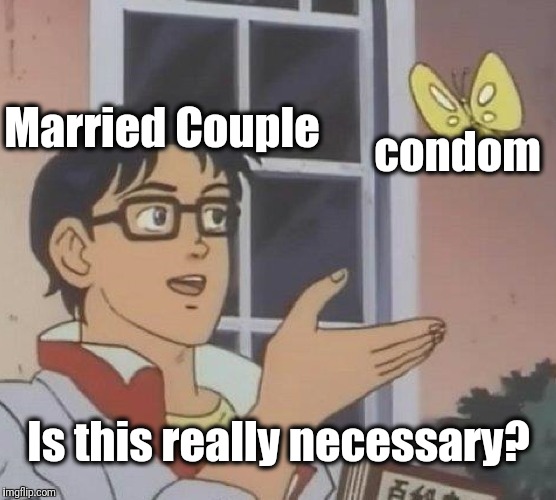 Is This A Pigeon Meme | Married Couple condom Is this really necessary? | image tagged in memes,is this a pigeon | made w/ Imgflip meme maker