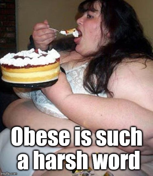 Fat woman with cake | Obese is such a harsh word | image tagged in fat woman with cake | made w/ Imgflip meme maker