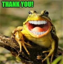 THANK YOU! | image tagged in funny frog | made w/ Imgflip meme maker