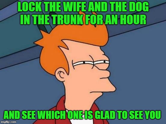 who loves you more  | LOCK THE WIFE AND THE DOG IN THE TRUNK FOR AN HOUR; AND SEE WHICH ONE IS GLAD TO SEE YOU | image tagged in memes,futurama fry | made w/ Imgflip meme maker