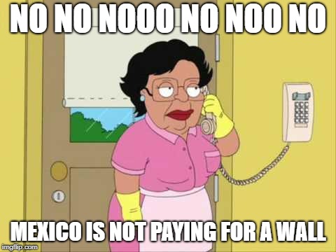 Consuela | NO NO NOOO NO NOO NO; MEXICO IS NOT PAYING FOR A WALL | image tagged in memes,consuela | made w/ Imgflip meme maker