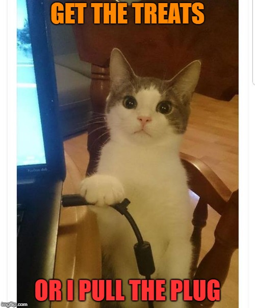 or else  | GET THE TREATS; OR I PULL THE PLUG | image tagged in cat,threats | made w/ Imgflip meme maker