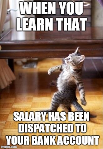 Cool Cat Stroll | WHEN YOU LEARN THAT; SALARY HAS BEEN DISPATCHED TO YOUR BANK ACCOUNT | image tagged in memes,cool cat stroll | made w/ Imgflip meme maker