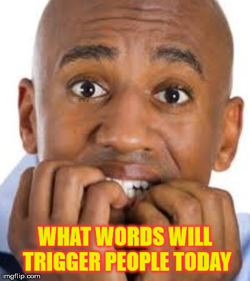 PC Vocabulary Police | WHAT WORDS WILL TRIGGER PEOPLE TODAY | image tagged in pc scared,memes,political correctness,first world problems,words that offend liberals,triggered | made w/ Imgflip meme maker