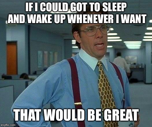 That Would Be Great Meme | IF I COULD GOT TO SLEEP AND WAKE UP WHENEVER I WANT THAT WOULD BE GREAT | image tagged in memes,that would be great | made w/ Imgflip meme maker