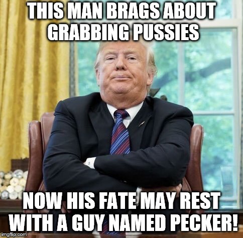 I love it when Karma has a sense of humor! | THIS MAN BRAGS ABOUT GRABBING PUSSIES; NOW HIS FATE MAY REST WITH A GUY NAMED PECKER! | image tagged in donald trump,dump trump,politics,political meme,trump is a moron,ironic | made w/ Imgflip meme maker