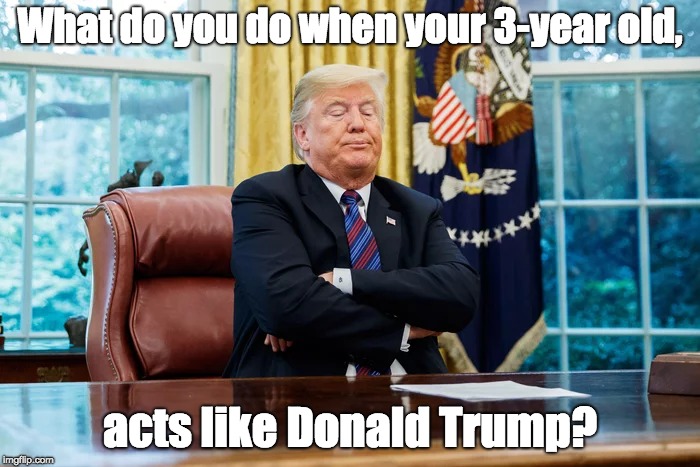 Donald Trump | What do you do when your 3-year old, acts like Donald Trump? | image tagged in trump immature stubborn | made w/ Imgflip meme maker