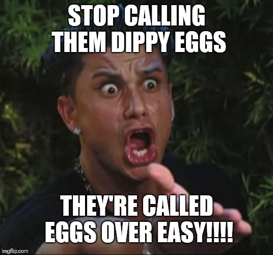 DJ Pauly D Meme | STOP CALLING THEM DIPPY EGGS; THEY'RE CALLED EGGS OVER EASY!!!! | image tagged in memes,dj pauly d | made w/ Imgflip meme maker