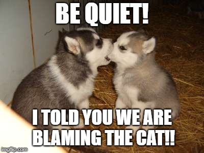 Cute Puppies Meme | BE QUIET! I TOLD YOU WE ARE BLAMING THE CAT!! | image tagged in memes,cute puppies | made w/ Imgflip meme maker