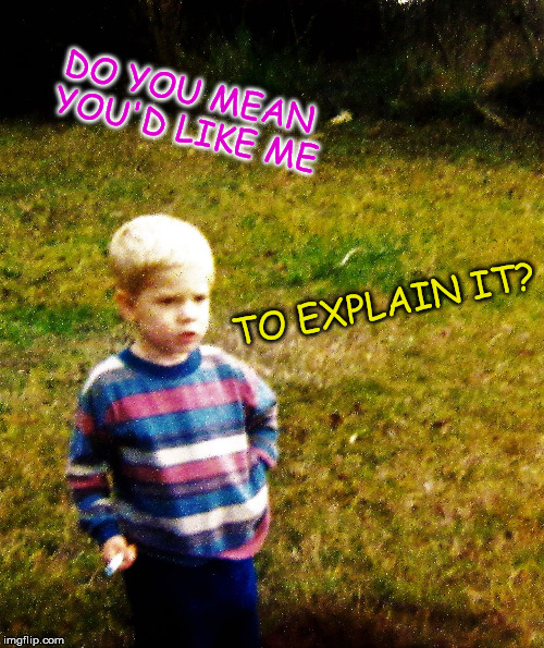 contemplative toddler | DO YOU MEAN YOU'D LIKE ME TO EXPLAIN IT? | image tagged in contemplative toddler | made w/ Imgflip meme maker