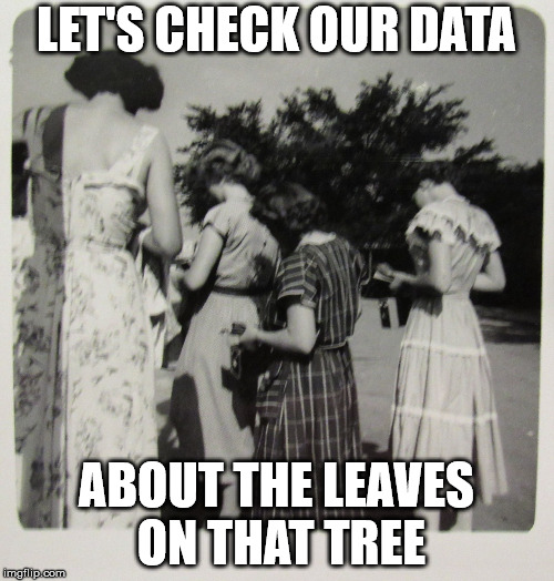 1950's Distracted Women | LET'S CHECK OUR DATA ABOUT THE LEAVES ON THAT TREE | image tagged in 1950's distracted women | made w/ Imgflip meme maker