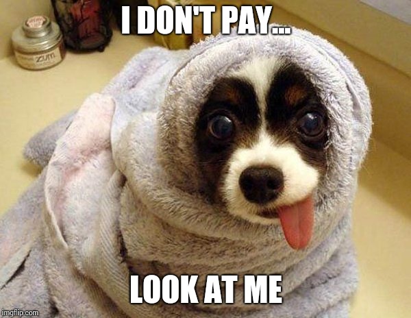 I DON'T PAY... LOOK AT ME | made w/ Imgflip meme maker