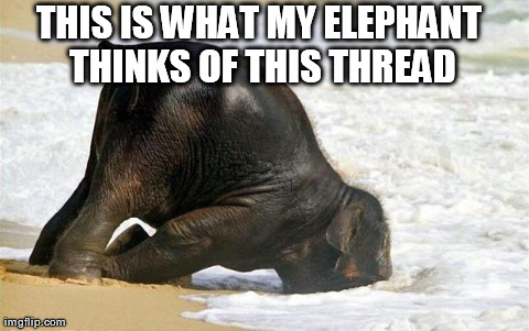 THIS IS WHAT MY ELEPHANT THINKS OF THIS THREAD | image tagged in elephant | made w/ Imgflip meme maker