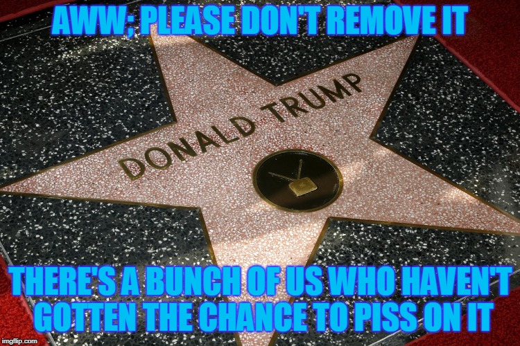 Liberals for Trump's Star | AWW; PLEASE DON'T REMOVE IT; THERE'S A BUNCH OF US WHO HAVEN'T GOTTEN THE CHANCE TO PISS ON IT | image tagged in love trumps hate | made w/ Imgflip meme maker