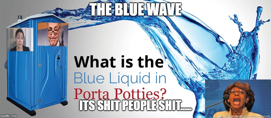 Blue wave  | THE BLUE WAVE; ITS SHIT PEOPLE SHIT..... | image tagged in porta potties | made w/ Imgflip meme maker