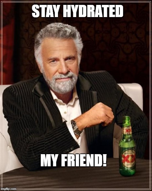 The Most Interesting Man In The World | STAY HYDRATED; MY FRIEND! | image tagged in memes,the most interesting man in the world | made w/ Imgflip meme maker