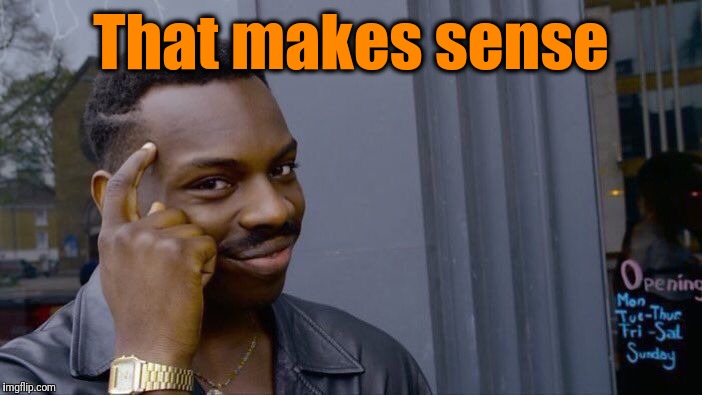 Roll Safe Think About It Meme | That makes sense | image tagged in memes,roll safe think about it | made w/ Imgflip meme maker