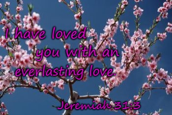 Jeremiah 31:3 I Have Loved You With Everlasting Love | I have loved; you with an; everlasting love. Jeremiah 31:3 | image tagged in bible,holy bible,holy spirit,bible vers,verse,god | made w/ Imgflip meme maker