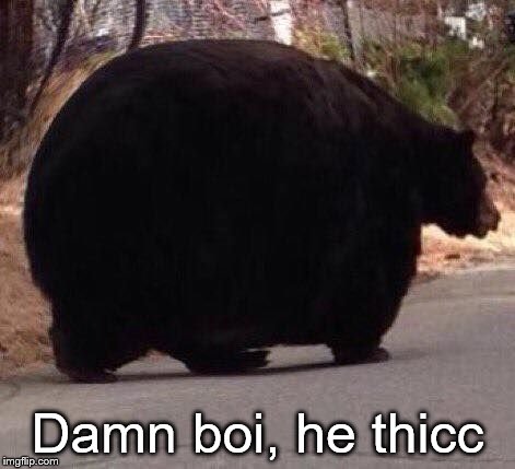 thicc boi | Damn boi, he thicc | image tagged in thicc boi | made w/ Imgflip meme maker