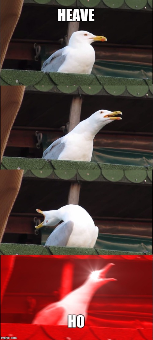 Inhaling Seagull Meme | HEAVE; HO | image tagged in memes,inhaling seagull | made w/ Imgflip meme maker