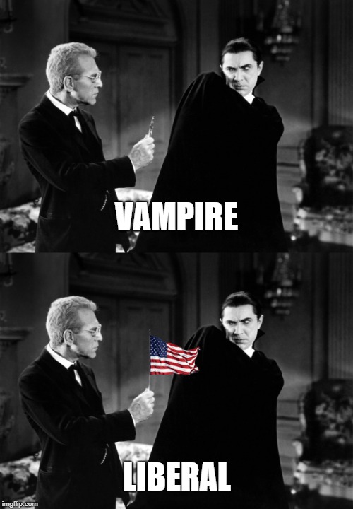 Vampire vs Liberal | VAMPIRE; LIBERAL | image tagged in dracula,liberals,american flag | made w/ Imgflip meme maker