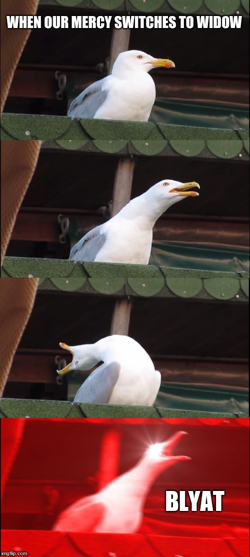 but y tho | WHEN OUR MERCY SWITCHES TO WIDOW; BLYAT | image tagged in memes,inhaling seagull | made w/ Imgflip meme maker