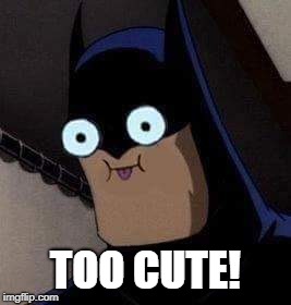 Too cute | TOO CUTE! | image tagged in too cute | made w/ Imgflip meme maker