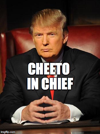 Serious Trump | CHEETO IN CHIEF | image tagged in serious trump | made w/ Imgflip meme maker