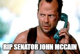 RIP John McCain | RIP
SENATOR JOHN MCCAIN | image tagged in john mccain | made w/ Imgflip meme maker