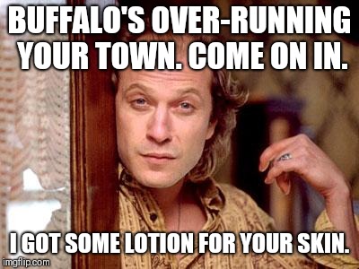 buffalo bill | BUFFALO'S OVER-RUNNING YOUR TOWN. COME ON IN. I GOT SOME LOTION FOR YOUR SKIN. | image tagged in buffalo bill | made w/ Imgflip meme maker