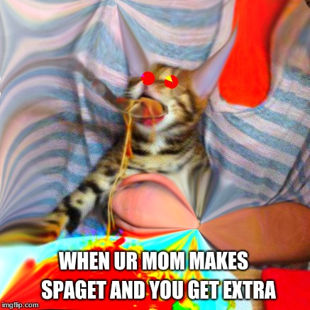 SPAGETT CAT | SPAGET AND YOU GET EXTRA; WHEN UR MOM MAKES | image tagged in spagett | made w/ Imgflip meme maker