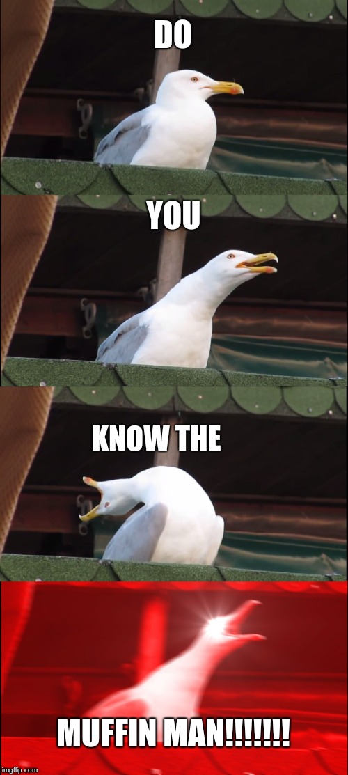 Inhaling Seagull | DO; YOU; KNOW THE; MUFFIN MAN!!!!!!! | image tagged in memes,inhaling seagull | made w/ Imgflip meme maker