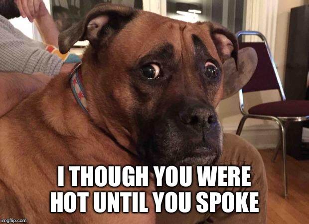 Oh crap dog | I THOUGH YOU WERE HOT UNTIL YOU SPOKE | image tagged in oh crap dog | made w/ Imgflip meme maker
