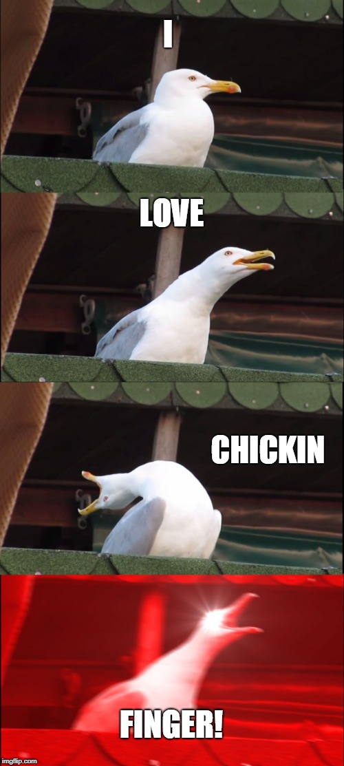 Inhaling Seagull | I; LOVE; CHICKIN; FINGER! | image tagged in memes,inhaling seagull | made w/ Imgflip meme maker